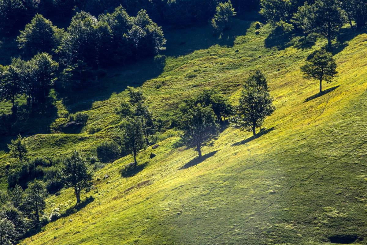 Il monte Bavarione, la dolce montagna