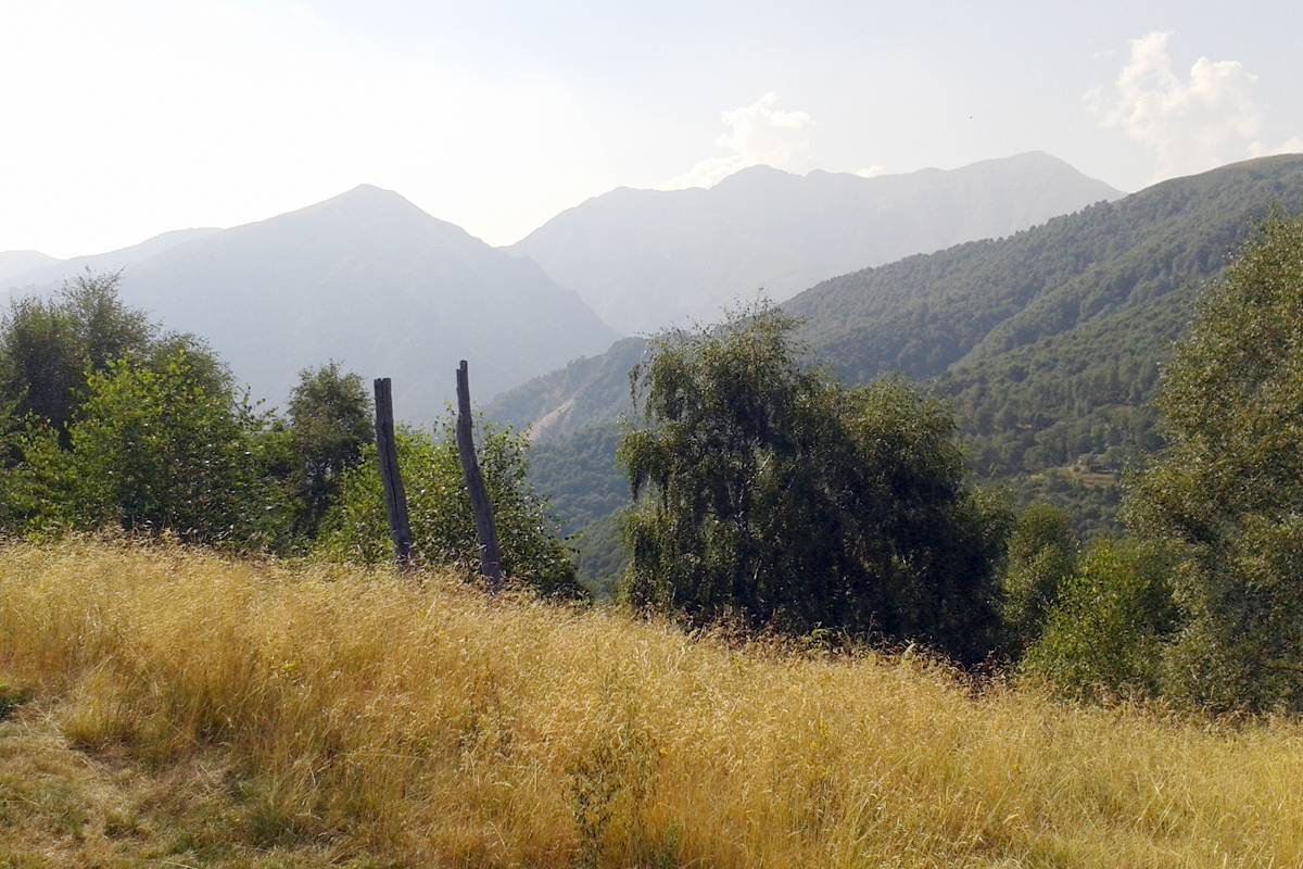 Alpe Pianale: Panorama